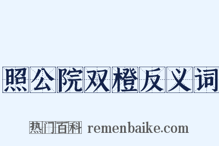 照公院双橙反义词是什么意思的图片